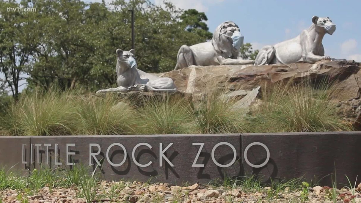 Zoológico de Little Rock ofrecerá espectáculo láser Univision Arkansas