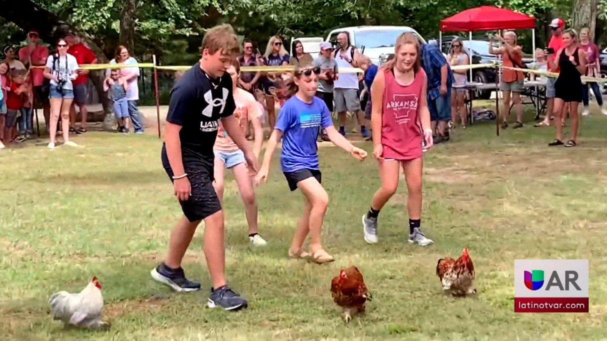 Festival chicken fry se desarrollo en la montaña Nebo. Univision Arkansas