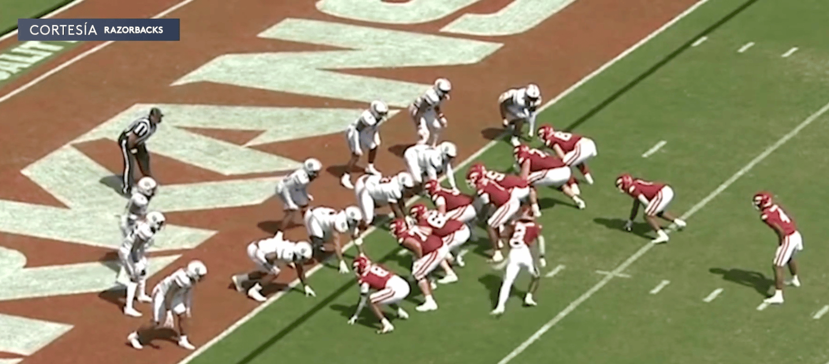 Los Razorbacks Los Razorbacks saltan al Top 10 de la encuesta AP - Univision Arkansas