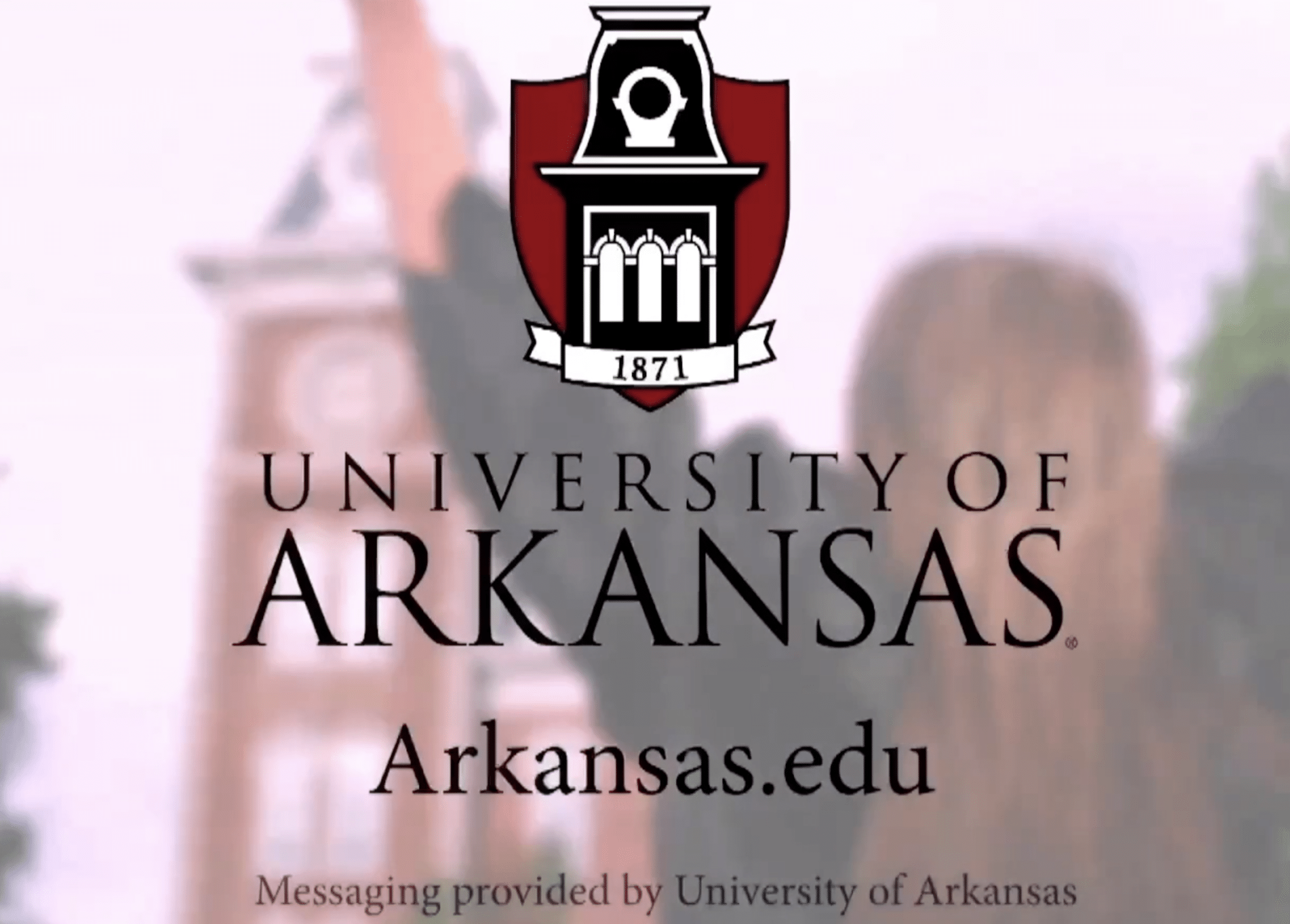 Bandera De Jardín De La Universidad De Arkansas Central – Bears (33x46 Cm) – Poliéster